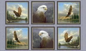 QT Fabrics Majestic Eagles 1649-24322-K #50WL