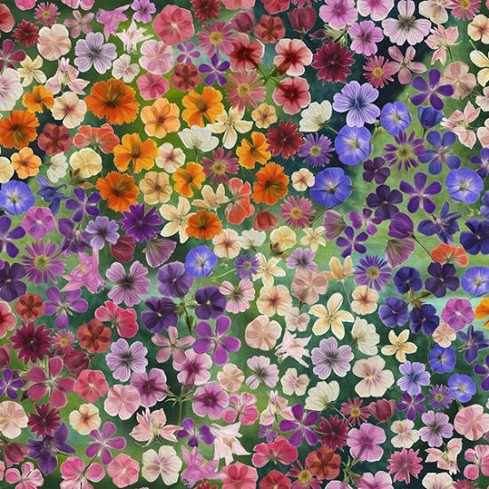 Hoffman Fabrics Wildflowers Multi V5251-130 MULTI
