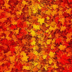 Freckle + Lollie Autumn Glory Orange Ombre Leaves D82 O