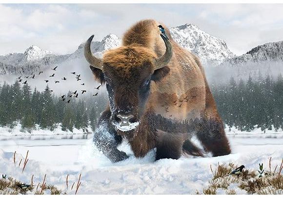 Hoffman Fabrics Call of the Wild Bison BISON W5376-555 #132WL