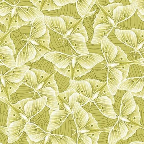 Studio E Hallowed Forest Yellow Glow Luna Moths 7714 44