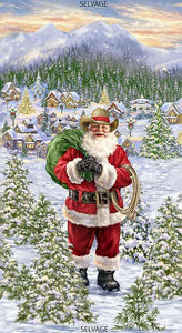Timeless Treasures Santa in a Straw Hat DG-CD7588 #11C