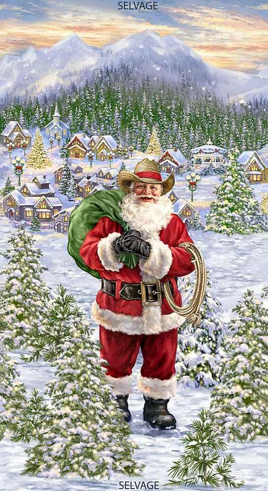 Timeless Treasures Santa in a Straw Hat DG-CD7588 #11C – Friends