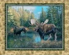 MGD Fabrics Caldwell Creek Spring SPR41992-A620715 #16WL