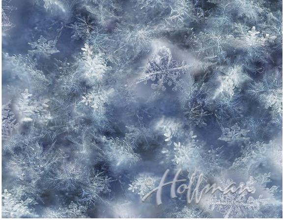 Hoffman Fabrics Call of the Wild Snowflake Blue Q4458-7