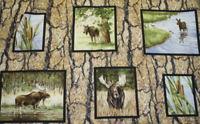 Troy Fabrics Wild in the Wilderness 1251-1 #51WL
