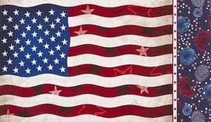 Robert Kaufman Patriots Flag ANF-16614-202-AMERICA #56