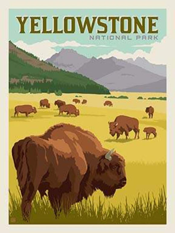 Riley Blake  Yellowstone Buffalo  P8790-Yellowstone #92WL