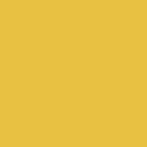 Andover Fabrics Century Solids Saffron  CS-10-SAFFRON
