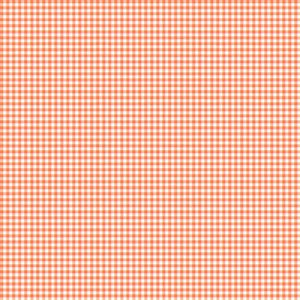Clothworks Gingham Check Light Coral SB20268-420