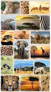 Hoffman Fabrics Africa Wild Kingdom Q4492-565 #86WL
