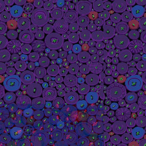 Freespirit Fabrics Button Mosaic Purple Kaffe Fassett PWGP182.PURPLE