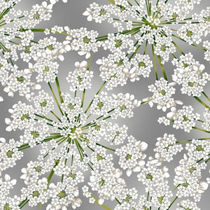 Hoffman Fabrics Winter Blooms Gray/ Silver R7676-48S