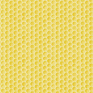 Henry Glass Fresh Picked Lemons Honeycomb 593 33 YELLOW