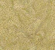 Hoffman Fabrics Bali Chops Asparagus 885-644