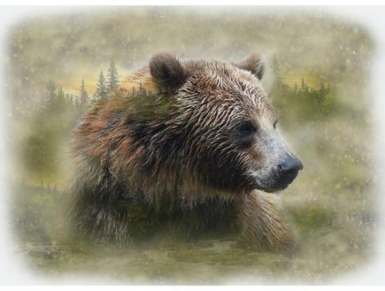 Hoffman Fabrics Brown Bear Call of the Wild Grizzly U5063-260 #60WL