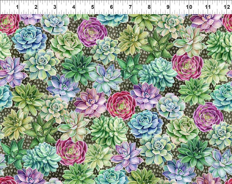 In the Beginning Fabrics Botanical Succulents Multi 4BL-1 – Friends and Co.  Quilt Shop
