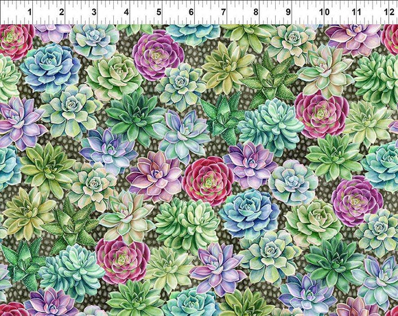 In the Beginning Fabrics Botanical Succulents Multi 4BL-1