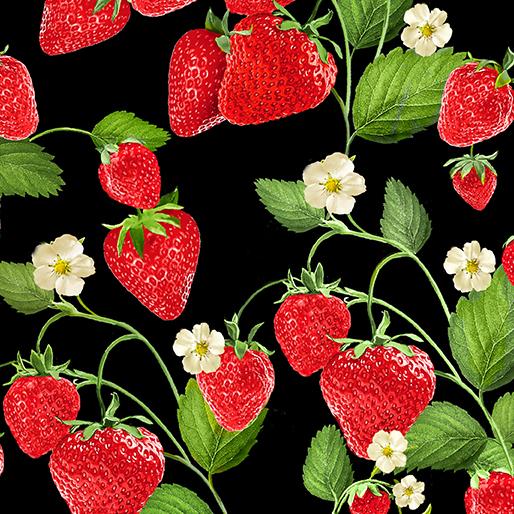 【ファッション通販】の商品をすべて Benartex Strawberry Friends – 0976512B Black Forever Fields 邦楽
