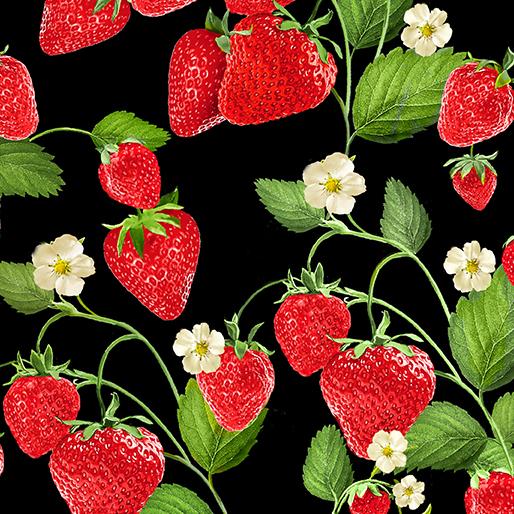 Benartex Strawberry Fields Forever Black  0976512B