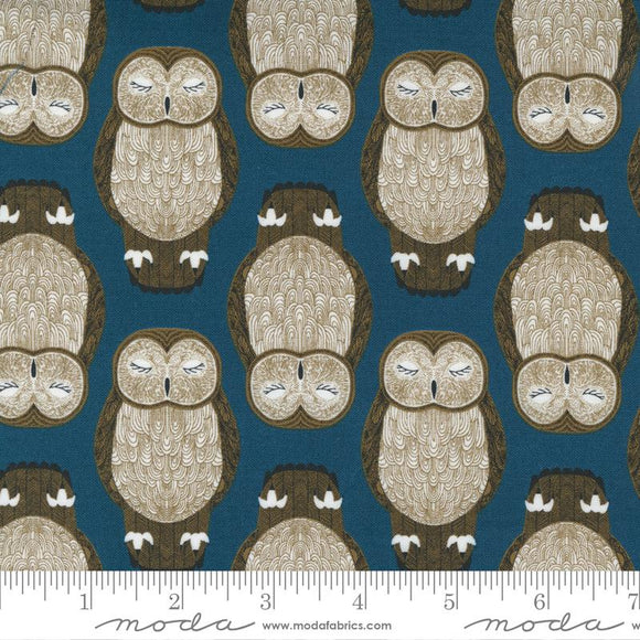 Moda Fabrics Nocturnal Owls Lake 48332 17