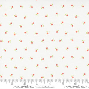Moda Fabrics Sunwashed Cloud 29164 11