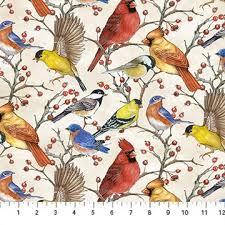 Northcott Fabrics Bird Song Multi DP22432-11