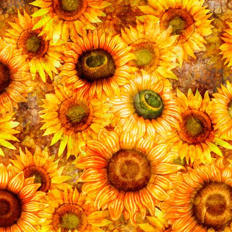 QT Fabrics Blossom Sunflowers 1649-28834-S