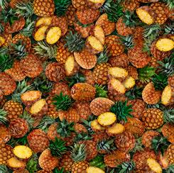 QT Fabrics Fresh Pineapple 1649 28462 AS