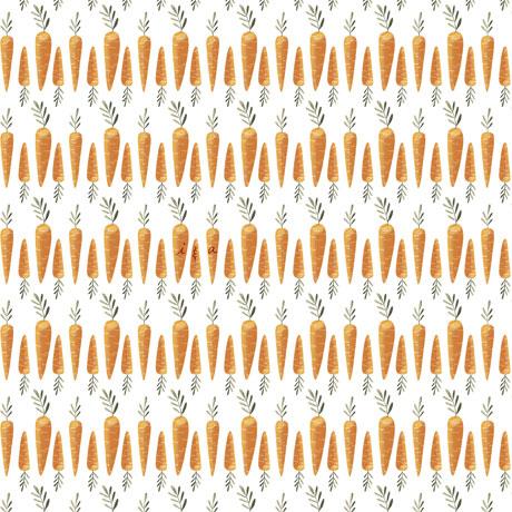 QT Fabrics Hippity Hop Carrot Stripe White 1649 29218 Z