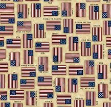 QT Fabrics For Love of Country 1649-24178-E