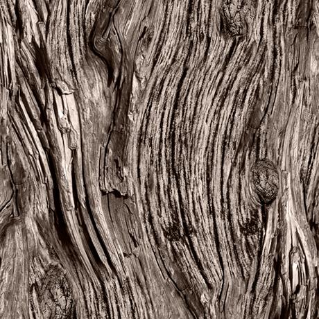 Quilting Treasures Fabrics Open Air Driftwood Taupe 1649-28113-KA-150