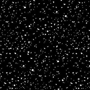 RJR Fabrics Confetti White/Black RJ1410-WB5