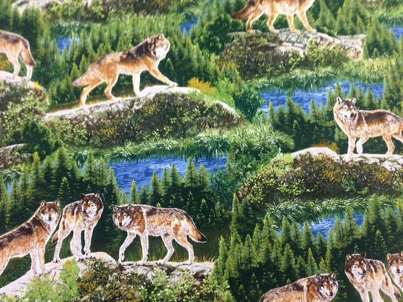 Robert Kauf Bringing Nature Home  AAX-15213-268   Wolves