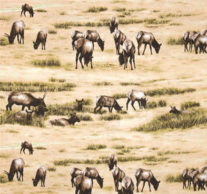 The Elk Gathering 1560/2