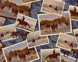 Windham Fabrics Ranch Hand Post Cards Blue 42579-1 BLUE
